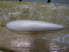 PICT1317.JPG